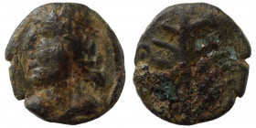 Syria (?). Uncertain. Circa. 1nd-3th centuries AD. Ae (bronze, 0.86 g, 10 mm). Laureate head left. Rev. Palm tree or branch; in left field date [ЄTOY....