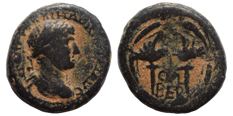 PHOENICIA, Berytus. Hadrian. 117-138. Ae (bronze, 6.42 g, 19 mm). Laureate, drap...