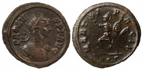Probus, 276-282. Antoninianus (silvered bronze, 4.04 g, 22 mm) Rome, 276/82. PROBVS P F AVG Radiate and cuirassed bust of Probus to right. Rev. MARTI ...