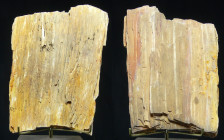 Bloc de bois fossile
Important bloc de bois fossile. Dimensions : 130*100 mm.