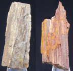 Blocs de bois fossile - Pamlier Egypte
2 blocs de bois de palmier venant d'Egypte. Dimensions : 140 et 120 mm