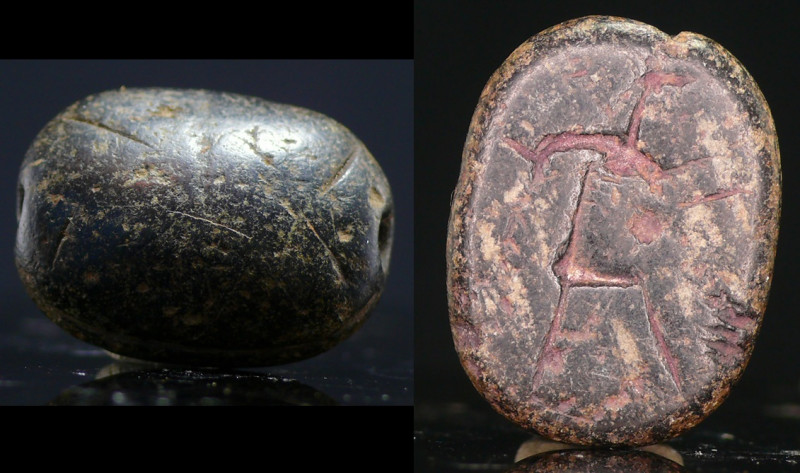 Egypte - Basse époque - Scarabée en pierre - 664 / 332 av. J.-C. (26ème-30ème dy...
