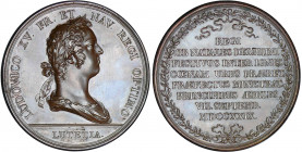 Louis XV (1715-1774) - Médaille - Naissance du dauphin - 1729, par Du Vivier
SPL
Trésor pl XLIII, 7
 Br ; 171 gr ; 74 mm
Frappe originale.