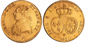 Louis XVI (1774-1792) - Double louis d’or au buste habillé, au petit buste - 1782 W (Lille)
SUP
L4L.534-Ga.362a
 Au ; 16.29 gr ; 29 mm
Monnaie de ...