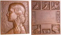 Médaille, Art déco - Société centrale d'aviculture de France, Par Morlon
SPL
 Br ; 137.74 gr ; 65*56 mm