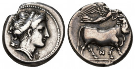 GRECIA ANTIGUA. CAMPANIA. Neapolis. Didracma (325-241 a.C.). A/ Cabeza de ninfa a der., detrás astrágalo, delante monograma. R/ Toro androsopo a der. ...