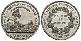 ISABEL II. Medalla. 1860. Exposición agrícola, industrial y artística. Alicante. Grabador: L.M. (Luis Marchionni). Metal blanco 40 mm. 29,39 g. Pequeñ...
