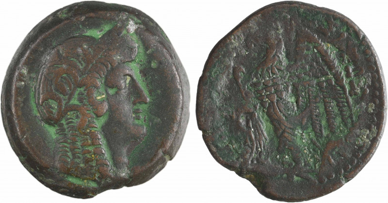 Égypte, Ptolémée II, dichalque de bronze, Alexandrie 193-180 av. J.-C
A/Anépigr...