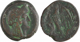 Égypte, Ptolémée II, dichalque de bronze, Alexandrie 193-180 av. J.-C
A/Anépigraphe
Tête d'Isis à droite, coiffée d'une couronne de roseaux avec une...