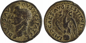 Divin Auguste, as (restitution de Domitien), Rome, 81-82
A/DIVVS AV - GVSTVS PATER
Tête radiée d'Auguste à gauche sous une étoile
R/IMP D CAES AVG ...