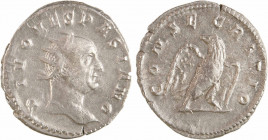 Trajan Dèce, antoninien (hommage à Vespasien), Rome, 251
A/DIVO VESPASINO
Tête laurée à droite
R/CONSECRATIO
Aigle à droite, les ailes éployées, l...