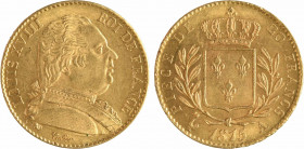 Louis XVIII, 20 francs buste habillé, 1815 Paris
A/LOUIS XVIII - ROI DE FRANCE
Buste habillé à droite, signature Tiolier au-dessous
R/PIECE DE - 20...