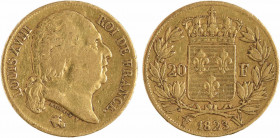 Louis XVIII, 20 francs buste nu, 1823 Lille
A/LOUIS XVIII - ROI DE FRANCE.
Tête nue à droite, au-dessous MICHAUT F. et (différent)
R/(différent) (d...