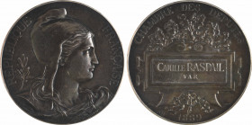 IIIe République, Chambre des députés, Camille Raspail (Var), par Bourgeois, 1889 Paris
A/REPUBLIQUE - FRANÇAISE
Buste de Marianne à droite, portant ...