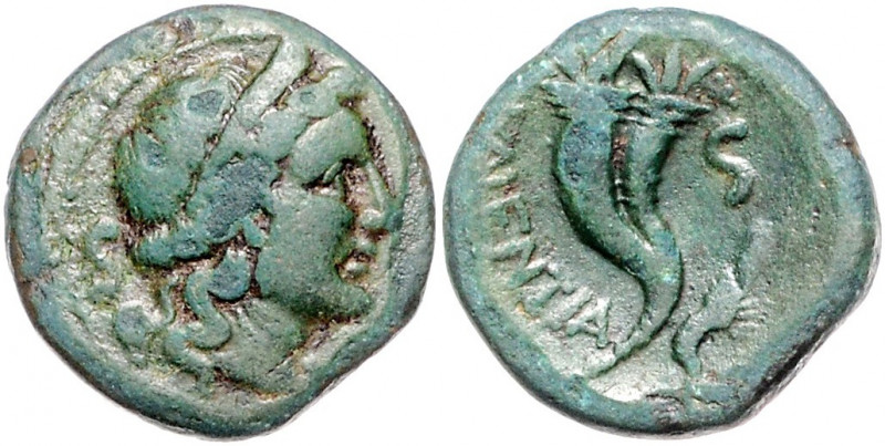 ITALIEN, BRUTTIUM / Stadt Heiponion, AE 18 (192-89 v.Chr.). Herabüste r. Rs.Dopp...