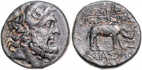 SELEUKIDISCHES REICH, SELEUCIS UND PIERIA / Stadt Apameia, AE 20 (1.Jh.v.Chr.). Belorb. Kopf des Zeus r. Rs.Elefant r., APAMEON THS IEPPAS KAI ASYLOY....