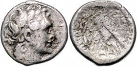 ÄGYPTEN, Kleopatra VII., 51-30 v.Chr., AR Tetradrachme Jahr 1 =37/36 v.Chr., Mitregentschaft Ptolemaios XV. Diad. Kopf des Ptolemaios r. Rs.Adler mit ...