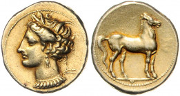 ZEUGITANA, KARTHAGO, Stadt, Elektron Shekel-Didrachme, 310-270 v.Chr. Kopf der Tanit l., im Haar Kornähren. Rs.Pferd r. stehend auf Linie. 7,78g.
GOL...