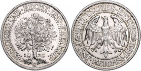 WEIMARER REPUBLIK, 1919-1933, 5 Reichsmark 1928 G. Eichbaum.
vz-st
J.331