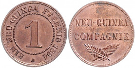 KOLONIEN, Deutsch-Neuguinea, Pfennig 1894 A.
kl.Sf., vz
J.701