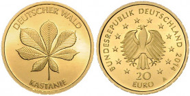 BUNDESREPUBLIK DEUTSCHLAND, 20 Euro 2014 A. Kastanie.
Ware ist MwSt-befreit
VAT tax free
GOLD, st