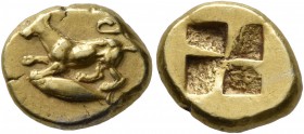 MYSIA. Kyzikos. Circa 500-450 BC. Hekte (Electrum, 12 mm, 2.62 g). Dog crouching to left on tunny left. Rev. Quadripartite incuse square. SNG Paris 23...