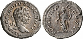 Geta, 209-211. Denarius (Silver, 19 mm, 3.48 g, 7 h), Rome, 210. P SEPT GETA PIVS AVG BRIT Laureate head of Geta to right. Rev. PONTIF TR P II COS II ...