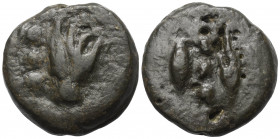Latium. Rom.

 Bronze (Quadrans). Ca. 241 - 235 v. Chr.
Vs: Hand, im Feld links drei Wertkugeln und rechts Sichel.
Rs: Zwei Getreidekörner nebenei...