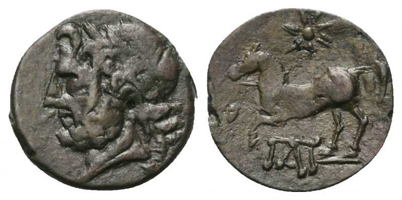 Apulien. Arpi.

 Bronze. Ca. 325 - 275 v. Chr.
Vs: Kopf des Zeus mit Lorbeerk...