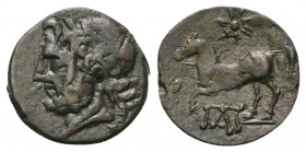 Apulien. Arpi.

 Bronze. Ca. 325 - 275 v. Chr.
Vs: Kopf des Zeus mit Lorbeerkranz links.
Rs: Pferd nach links galoppierend, darüber Stern, darunte...