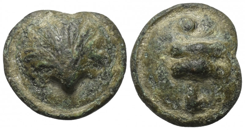 Apulien. Luceria.

 Bronze (Biunx). Ca. 225 - 217 v. Chr.
Vs: Muschel.
Rs: A...