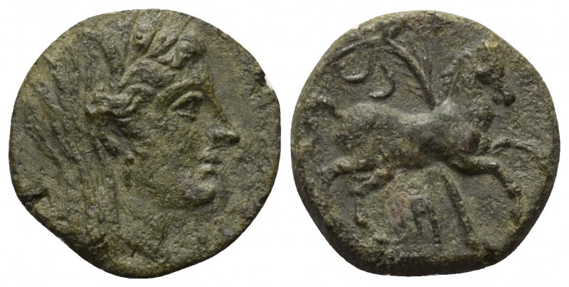 Sizilien. Morgantina. Punische Okkupation.

 Bronze. Ca. 212 - 211 v. Chr.
Vs...