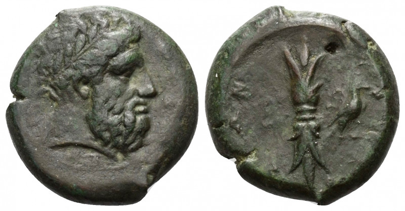 Sizilien. Syrakus. Timoleon und 3. Demokratie (343 - 317 v. Chr.).

 Bronze.
...