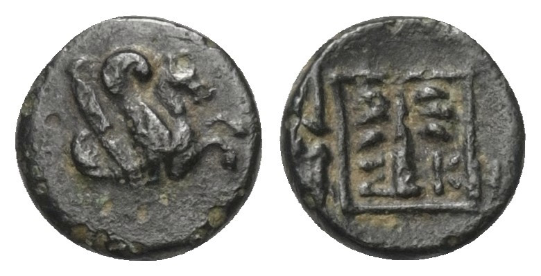 Troas. Skepsis.

 Bronze. Ca. 400 - 310 v. Chr.
Vs: Pegasosrhyton nach rechts...