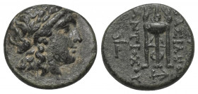 Seleukidisches Königreich. Antiochos II. Theos (261 - 246 v. Chr.).

 Bronze. Ca. 261 - 246 v. Chr. Tralleis (?).
Vs: Kopf des Apollon mit Lorbeerk...