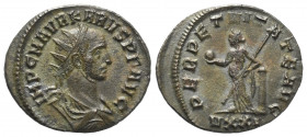 Carus (282 - 283 n. Chr.).

 Antoninian. 282 - 283 n. Chr. Ticinum.
Vs: IMP C M AVR KARVS P F AVG. Büste mit Strahlenkrone und Drapierung rechts.
...