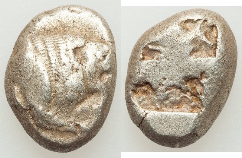 CARIA. Mylasa (?). Ca. 520-490 BC. AR stater (22mm, 10.82 gm). VF. Uncertain min...