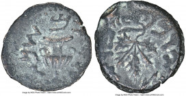 JUDAEA. The Jewish War (AD 66-70). AE prutah (16mm, 2.16gm, 5h). NGC XF 4/5 - 4/5. Jerusalem, Year 2 (AD 67/8). Year Two (Paleo-Hebrew), amphora with ...