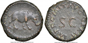 Domitian, as Augustus (AD 81-96). AE quadrans (15mm, 3.07 gm, 6h). NGC Choice VF 5/5 - 3/5. Rome, AD 84-85. Rhinoceros advancing right / IMP DOMIT AVG...