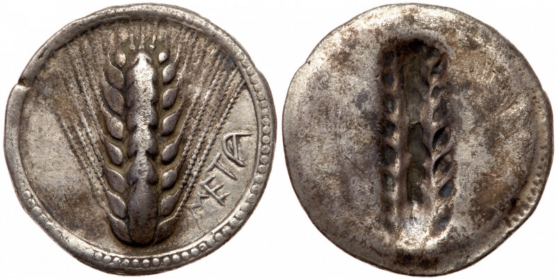 Metapontum/Metapontion. AR Stater. Circa 540-510 BC (27.5mm, 7.82g). META to the...