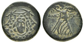 PAPHLAGONIA.Amastris.(Circa 85-65 BC).Ae.

Obv : Aegis.

Rev : AMAΣΤΡEΩN.
Nike advancing right, holding long palm frond.
SNG BM Black Sea 1316–1...