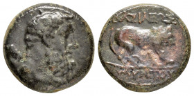 KINGS of GALATIA.Amyntas.(36-25 BC). Ae.

Obv : Bearded and bare head of Herakles right, with club over shoulder.

Rev : BAΣIΛEΩΣ AMYNTOY.
Lion advanc...
