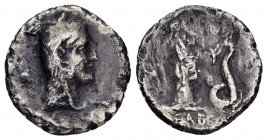 L. ROSCIUS FABATUS.(59 BC).Rome.Denarius.

Obv : L ROSCI.
Head of Juno Sospita right, wearing goat skin headdress; ibis to left.

Rev : FABATI.
Female...