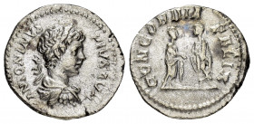 CARACALLA.(197-217).Rome.Denarius. 

Obv : ANTONINVS PIVS AVG.
Laureate and cuirassed bust right.

Rev : CONCORDIA FELIX.
Caracalla and Plautilla stan...