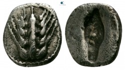 Lucania. Metapontion circa 510-460 BC. Obol AR
