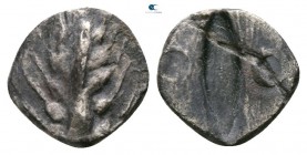 Lucania. Metapontion circa 510-460 BC. Obol AR