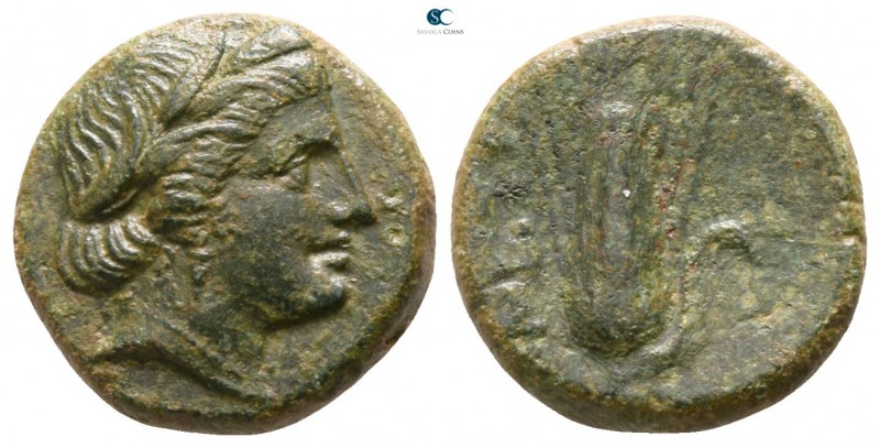 Lucania. Metapontion circa 300-250 BC. 
Bronze Æ

13mm., 2,91g.

Head of De...