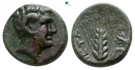 Lucania. Metapontion circa 300-250 BC. Bronze Æ