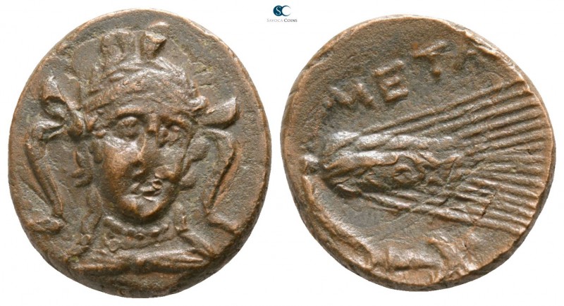 Lucania. Metapontion circa 300-250 BC. 
Bronze Æ

13mm., 3,58g.

Head of At...