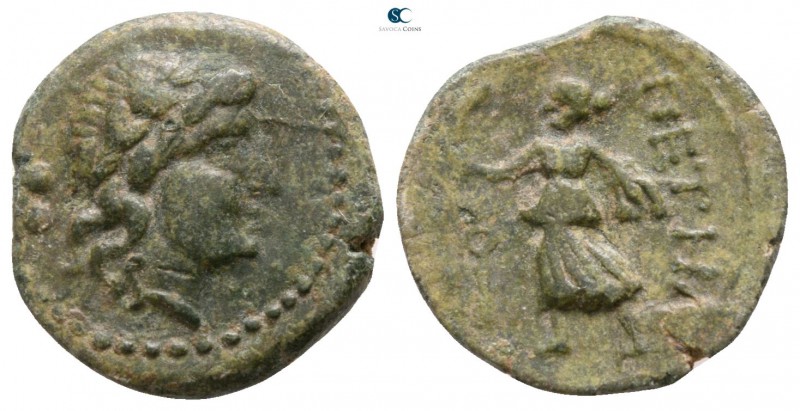 Bruttium. Petelia circa 214-204 BC. 
Sextans Æ

13mm., 2,44g.

Laureate hea...